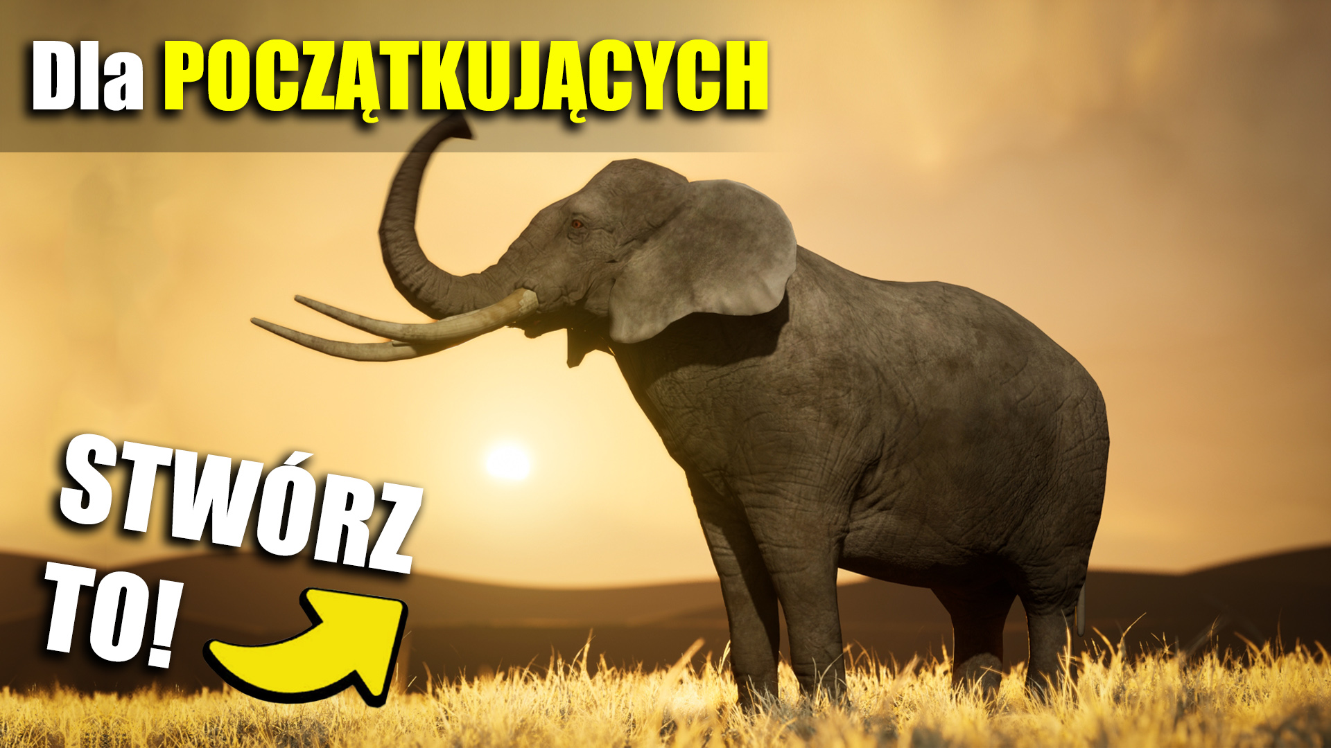 tworzenie animacji 3d w unreal engine 5, animowane zwierze