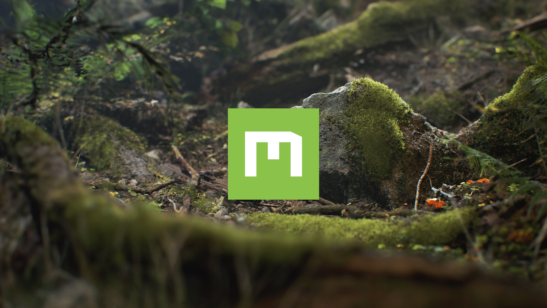 quixel megascans przedstawienie